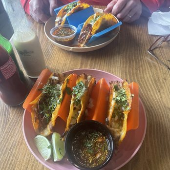 Yummy Tacos - Tacos Near Me - Williston Park, New York Yummy Tacos - Tacos Near Me - Williston Park, New York