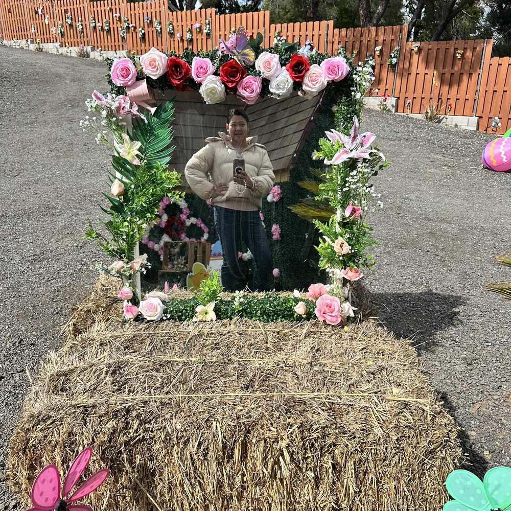 Igloo Wonderland - Picture op - Kids Activities Near Me - Murrieta, California Igloo Wonderland - Picture op - Kids Activities Near Me - Murrieta, California
