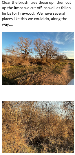 Unchained construction - tree service in Fort Worth, TX