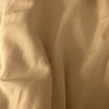 Quality Inn - Hair in sheets - Hotels Near Me - Hermitage, Pennsylvania