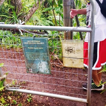 Makiki-Manoa Cliffs Hike - 04/25/2015 - Gate #1 - Hiking Near Me - Honolulu, Hawaii