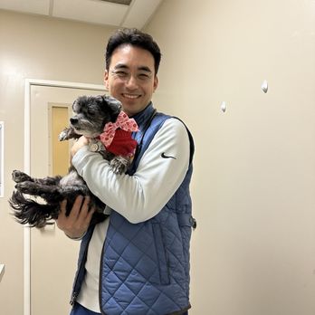 Echo Vet Cardio - Dr. Jung - Veterinarians Near Me - Tustin, California