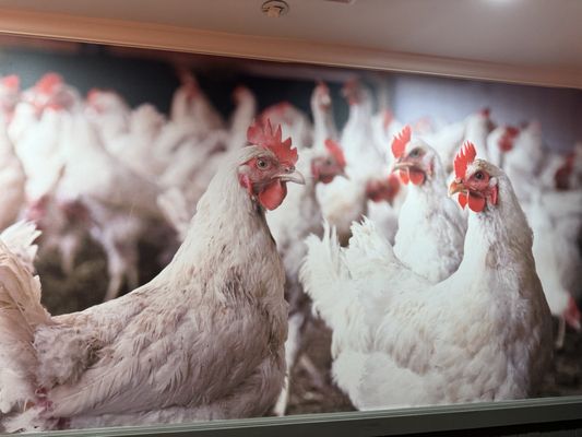 Farmer's Table Chula Vista by null