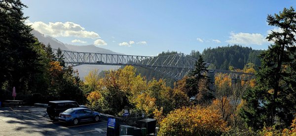 Thunder Island Brewing Co by null