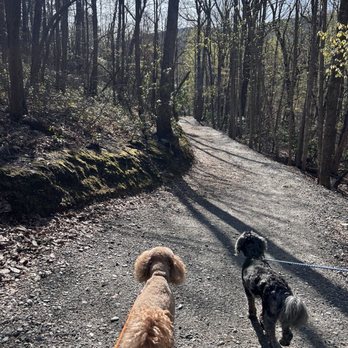 Hanging Rock State Park - Did you see that Bear?!!? - Parks Near Me - Westfield, North Carolina
