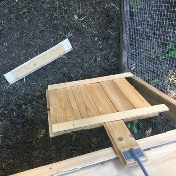 Urban Northern Coops - The chicken door falling apart. DEFINITELY NOT PREDATOR PROOF - Bird Shops Near Me Urban Northern Coops - The chicken door falling apart. DEFINITELY NOT PREDATOR PROOF - Bird Shops Near Me