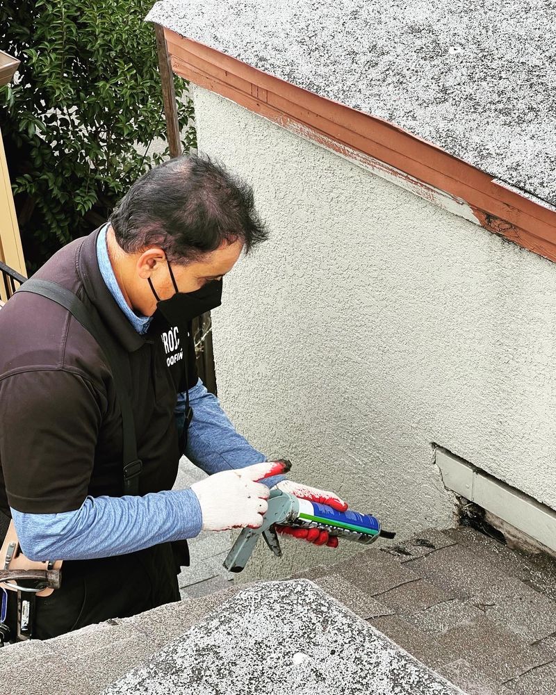 Slide of Project Roofing