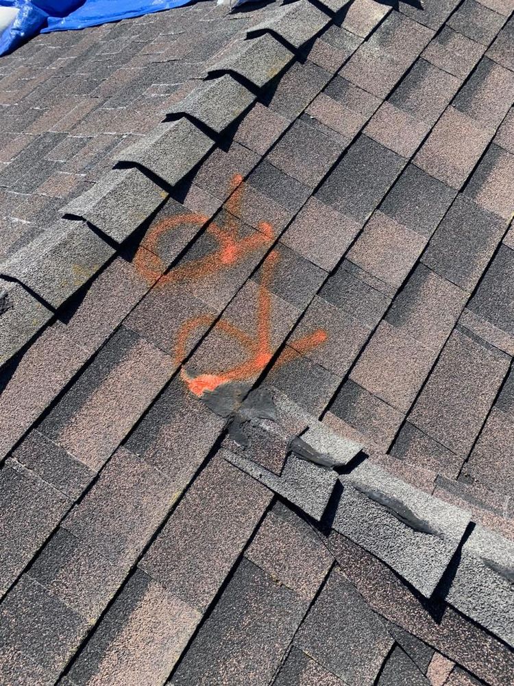 Slide of The Reliable Roof