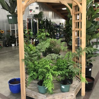 SummerWinds Nursery - Campbell - Nurseries & Gardening Near Me - Campbell, California SummerWinds Nursery - Campbell - Nurseries & Gardening Near Me - Campbell, California