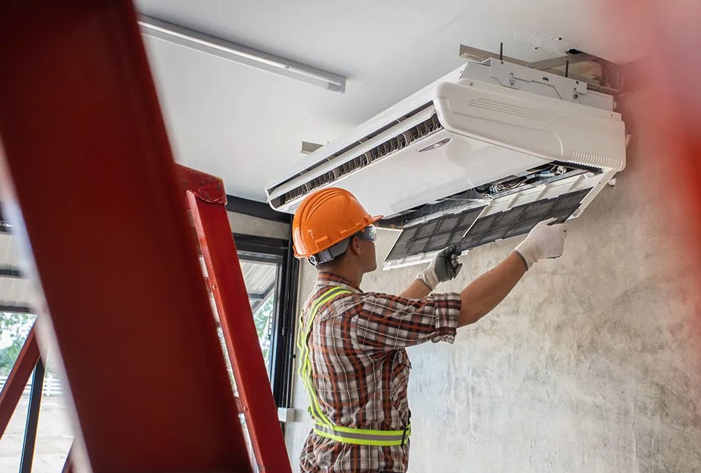 Slide of Jenalia Mechanical