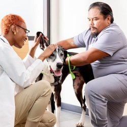 Banfield Pet Hospital