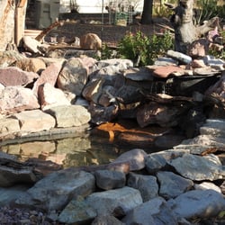 Battiste's Bed, Breakfast and Birds - Back Yard