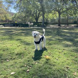 Founder’s Park