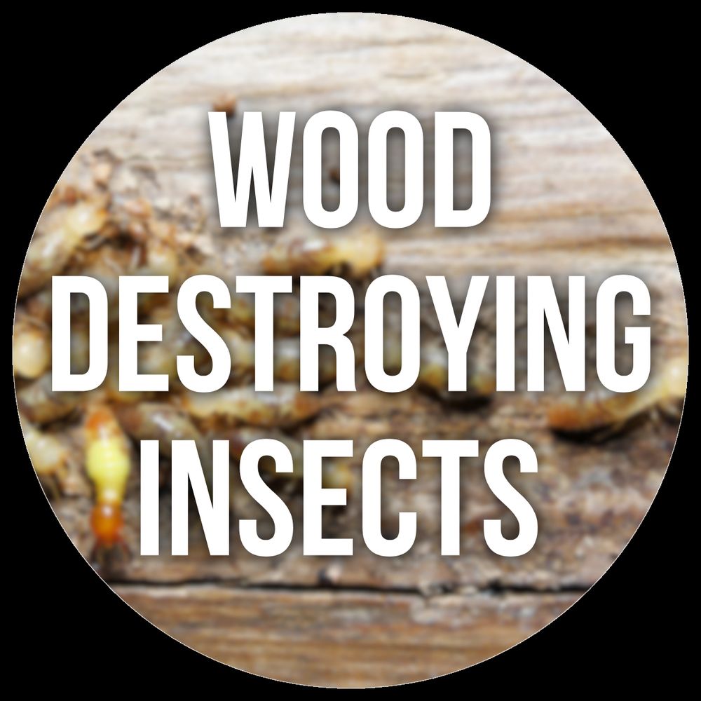 Michigan Property Inspections - mold inspector in Grand Blanc, MI