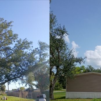 Breezy Tree Works - Junk Removal & Hauling Near Me - North Port, Florida Breezy Tree Works - Junk Removal & Hauling Near Me - North Port, Florida
