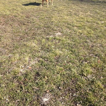 Landing Lights Park - Dog Parks Near Me - Queens, New York