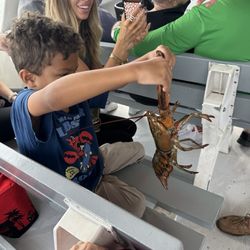 Lobster catch