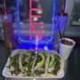 Photo of La Reyna Mexican Grill