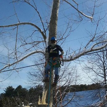 Bryan McFadden Tree Surgeon - Tree Services Near Me - Auburn, Maine