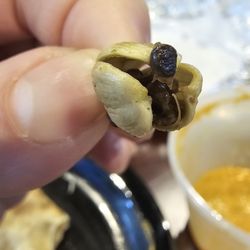 Desi Chowrastha - Indian Eatery - Just a cardamon flavoring my food #yum #ReviewsByRL
