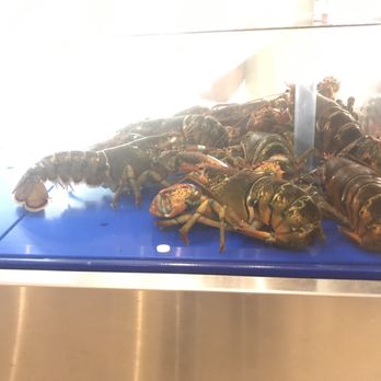 Lobster Cooker - Lobster tank - Seafood Near Me - Freeport, Maine