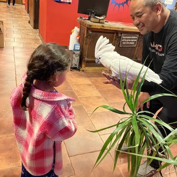 Media City Sun - Daisy is the star!!! - Spray Tanning Near Me - Burbank, California