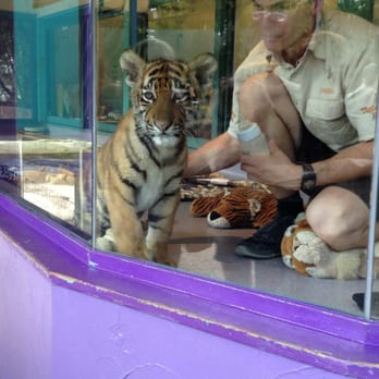 Dreamworld - Amusement Parks Near Me - Coomera, QLD