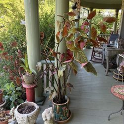 Manassas Junction Bed and Breakfast - Front porch of the main house