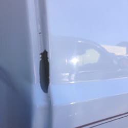Valley Auto Body