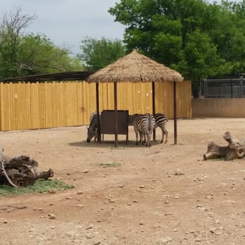 Abilene Zoo - Zoos Near Me - Abilene, Texas