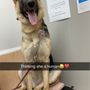 Photo of Angelcare Veterinary Hospital