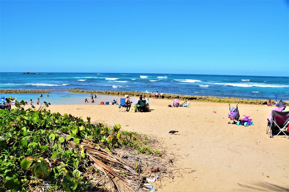 PIÑONES - Updated December 2025 - 164 Photos & 81 Reviews - Campamento ...