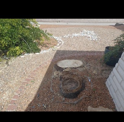 GARY’S TREE AND YARD SERVICES - Updated December 2024 - 12 Reviews