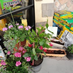Cantelmi Hardware - spring planting time