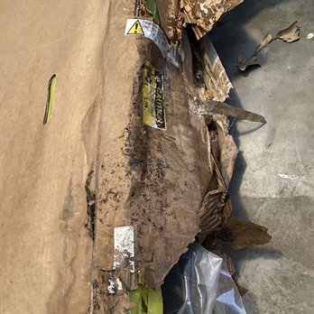 All Secure Mini Storage - Completely ruined box several like this, wet and moldy. - Self Storage Near Me - Russellville, Arkansas All Secure Mini Storage - Completely ruined box several like this, wet and moldy. - Self Storage Near Me - Russellville, Arkansas