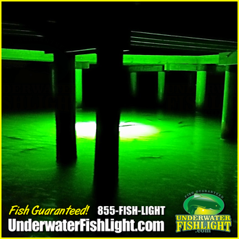 Underwater Fish Light - Hunting & Fishing Supplies Near Me - Port Charlotte, Florida Underwater Fish Light - Hunting & Fishing Supplies Near Me - Port Charlotte, Florida