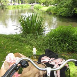 Bike City - Bike at the park