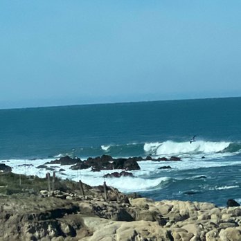 Asilomar State Beach - The Beautiful beach - Parks Near Me - Pacific Grove, California