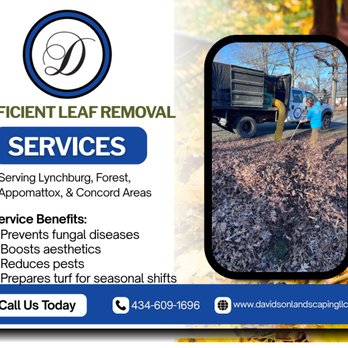 Davidson Landscaping - Landscaping Near Me - Concord, Virginia Davidson Landscaping - Landscaping Near Me - Concord, Virginia