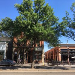 Whyte Avenue - Whyte Ave