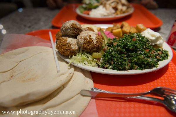 Shawarma Palace (Centretown) by null