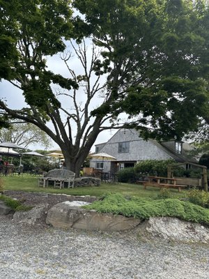 Sakonnet Vineyard by null