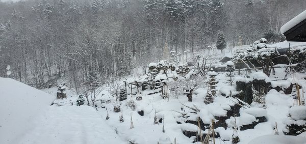Hōheikyō Hot Spring by null