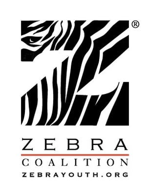 Zebra Youth by null