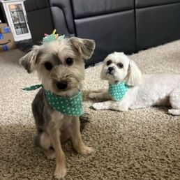 Minnie & Bambi
