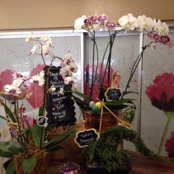 Open Air Designs - Beautiful orchids - Florists Near Me - Clearwater, Florida Open Air Designs - Beautiful orchids - Florists Near Me - Clearwater, Florida
