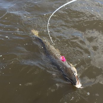 Bayou Country Charters - Boat Charters Near Me - Barataria, Louisiana Bayou Country Charters - Boat Charters Near Me - Barataria, Louisiana