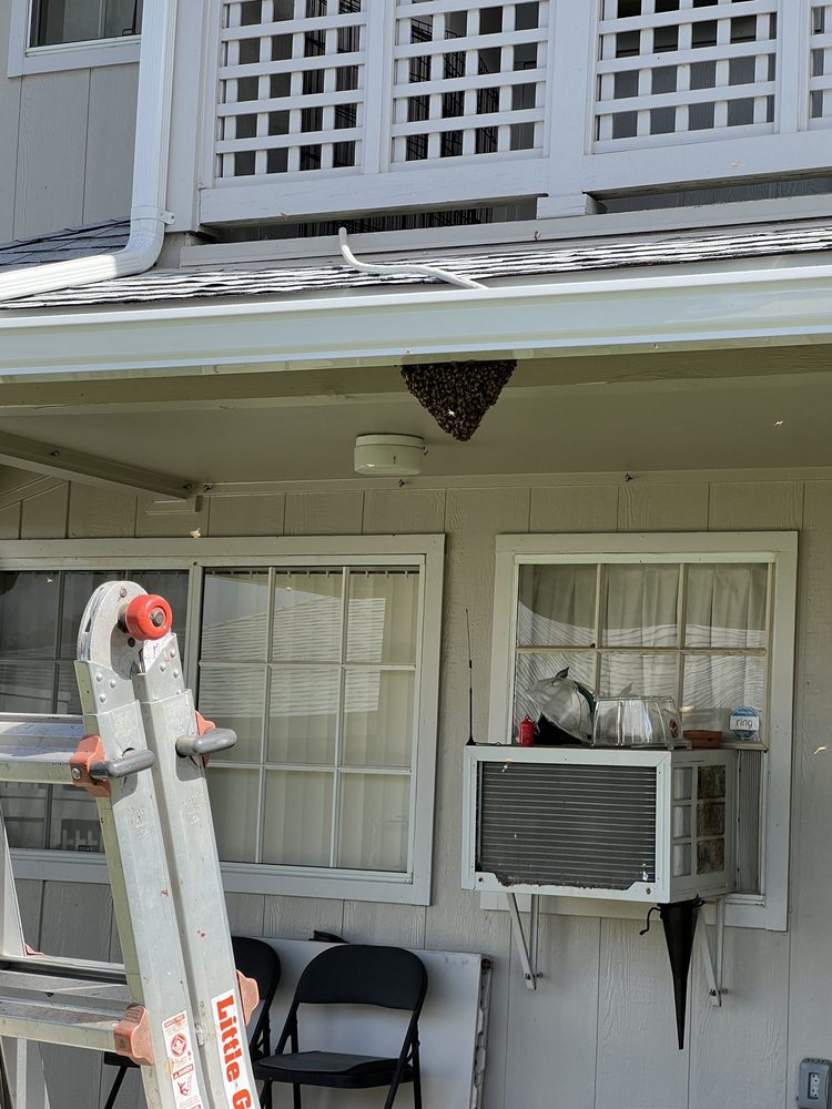 HAWAII BEE HOTLINE Updated September 2024 57 Photos & 58 Reviews Honolulu, Hawaii Pest