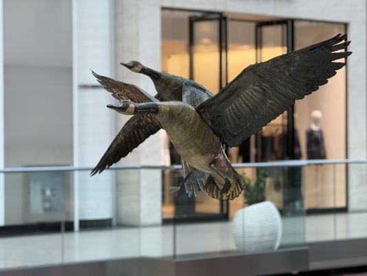 CF Toronto Eaton Centre by null