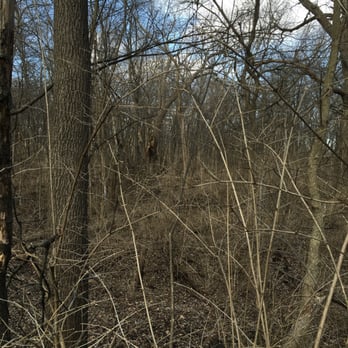 Mather Woods - The woods - Parks Near Me - Plainfield, Illinois